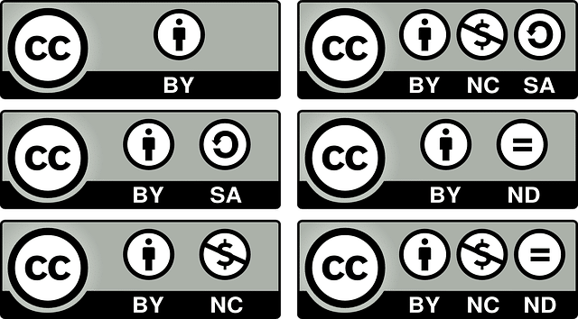 Licenza Creative Commons: fra Copyright e pubblico dominio