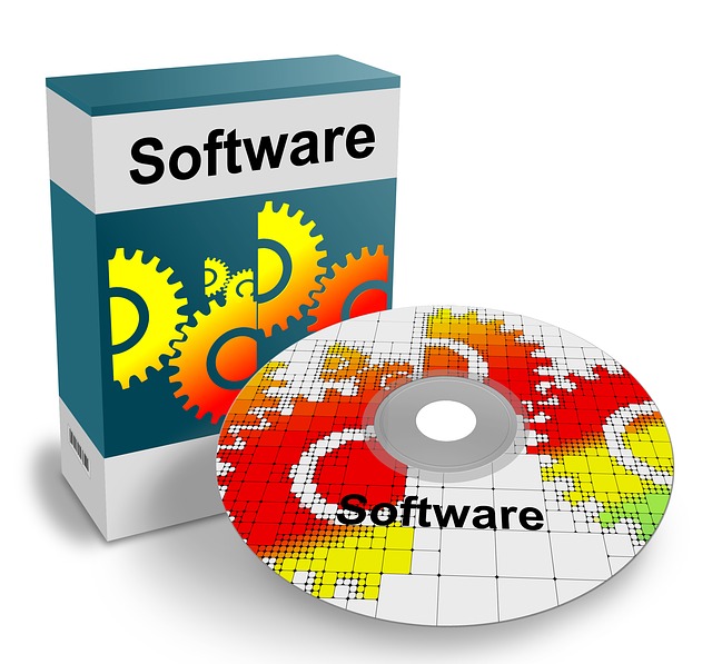 vendita software